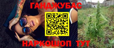 шишки Новокубанск