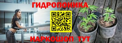 MDMA Новодвинск